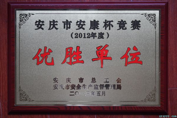 枞阳海螺荣获市“安康杯”竞赛优胜单位