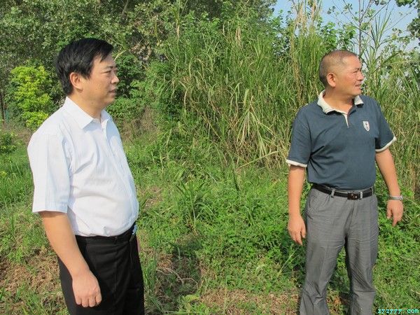 罗成圣调研县城饮用水水源地保护和污水处理工作