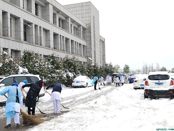 铲雪现真情，行动暖人心