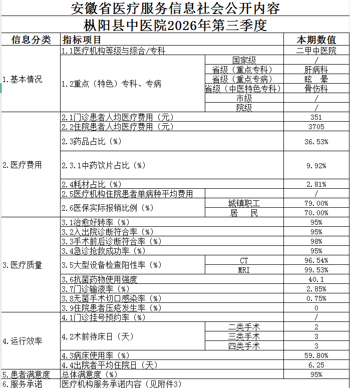 安徽省医疗服务信息社会公_枞阳县中医院2026年第三季度